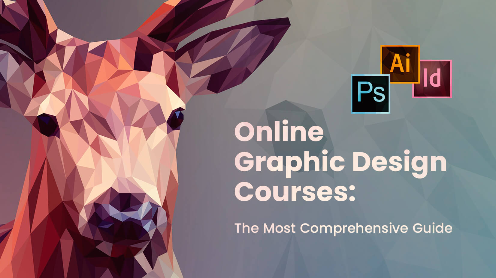 Professional Graphic Design — From Beginner to Advanced